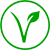 vegan